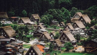 Photo of Отдых на японском острове