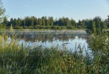 Photo of Отдых на озере с рыбалкой