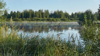 Photo of Отдых на озере с рыбалкой