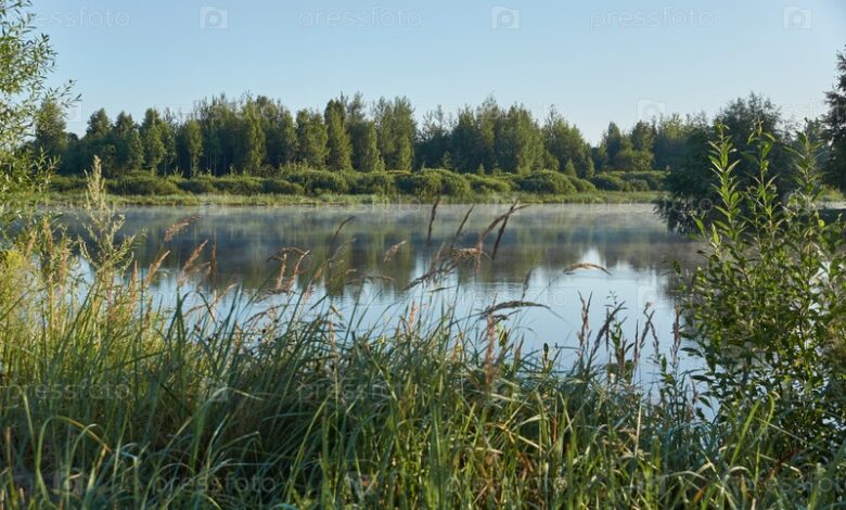 Photo of Отдых на озере с рыбалкой