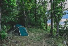 Photo of Кемпинг в лесу с палаткой