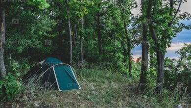Photo of Кемпинг в лесу с палаткой
