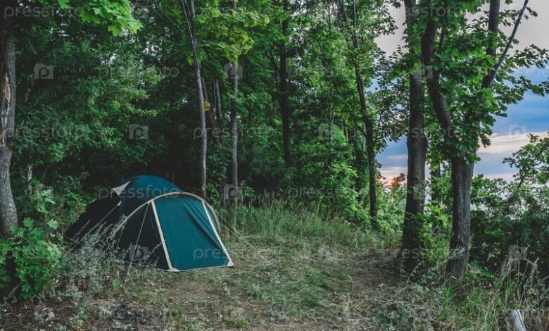 Photo of Кемпинг в лесу с палаткой