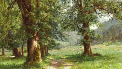 Photo of Отдых в бамбуковом лесу