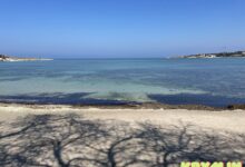 Photo of Отдых на пляже в Севастополе