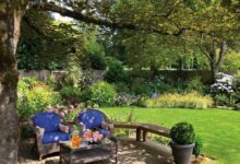 Photo of Отдых в солнечном саду