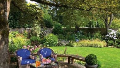 Photo of Отдых в солнечном саду