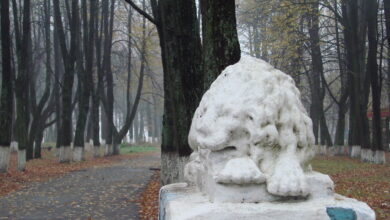 Photo of Отдых в городском парке