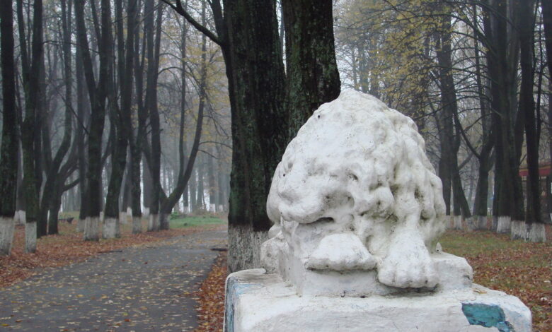 Photo of Отдых в городском парке