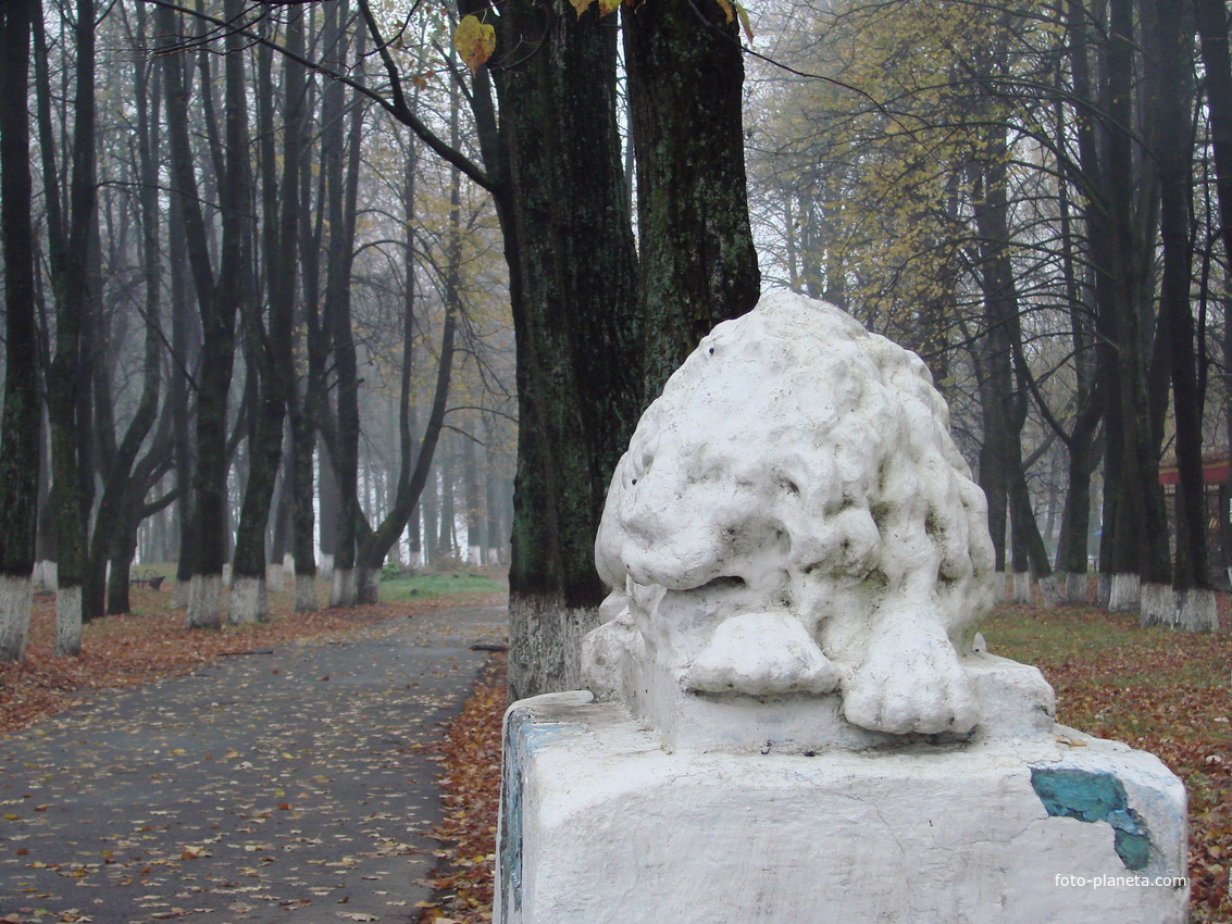 Фото 5 — Отдых в городском парке