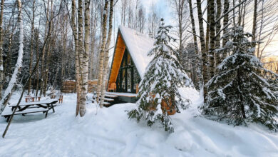 Photo of Отдых в горах с пикником