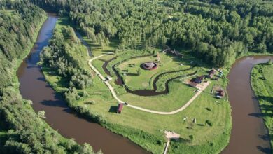 Photo of Отдых на зеленой территории